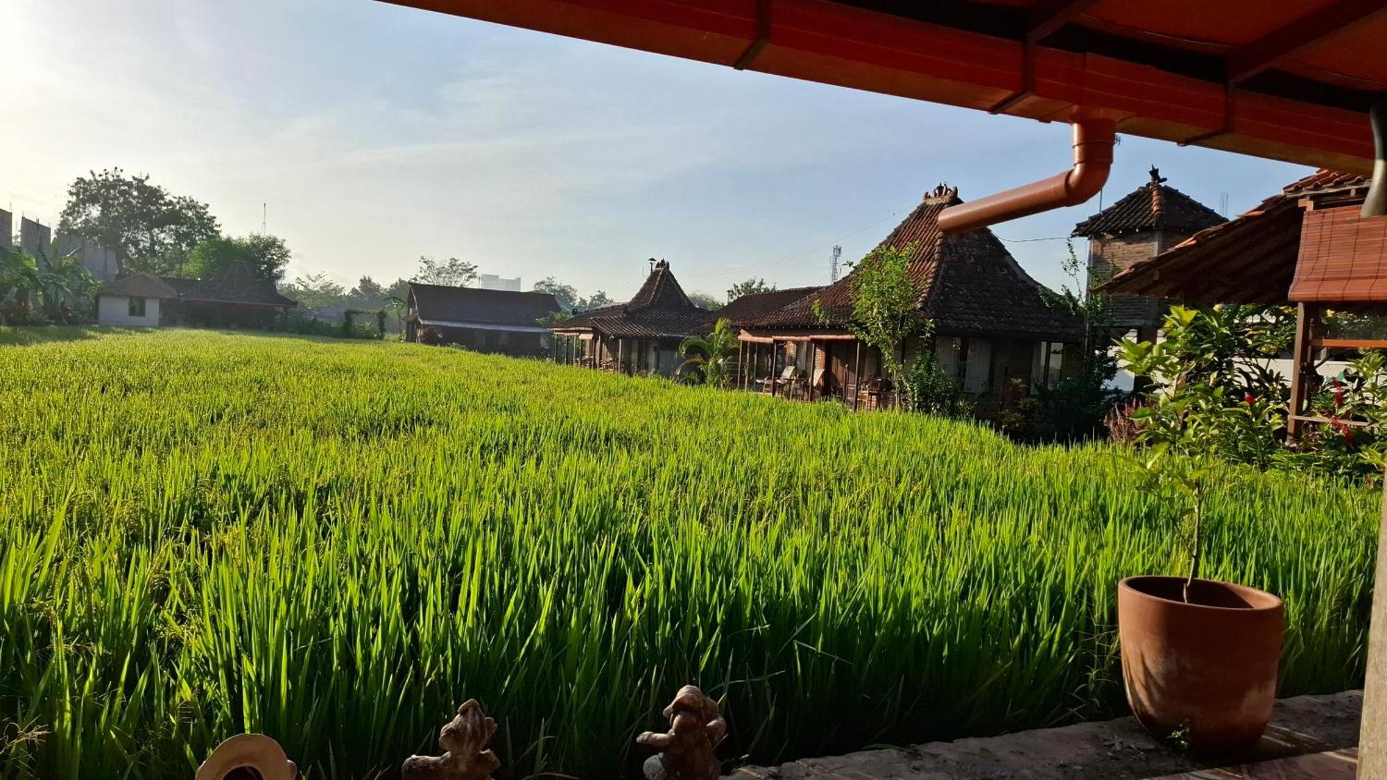 Alamanda Family Villas, Pool & Local Tours Jogyakarta Zewnętrze zdjęcie