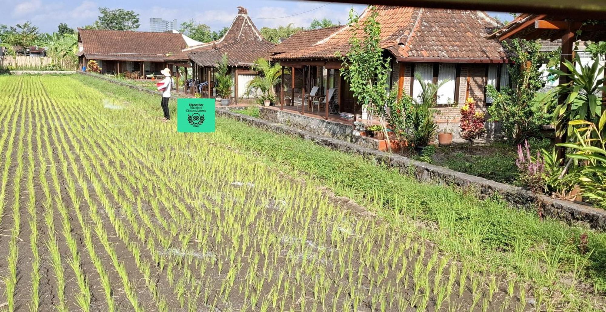 Alamanda Family Villas, Pool & Local Tours Jogyakarta Zewnętrze zdjęcie