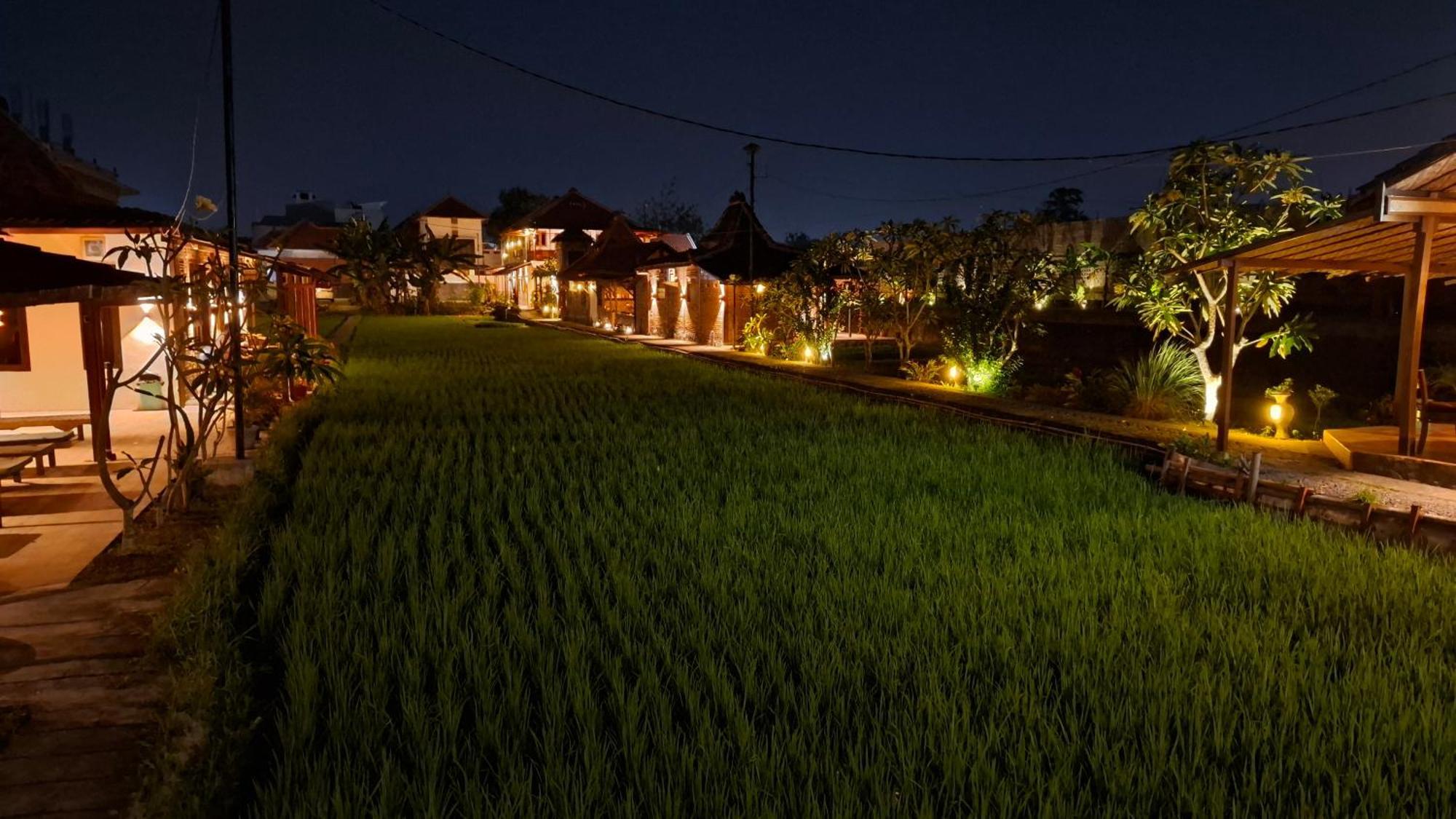 Alamanda Family Villas, Pool & Local Tours Jogyakarta Zewnętrze zdjęcie