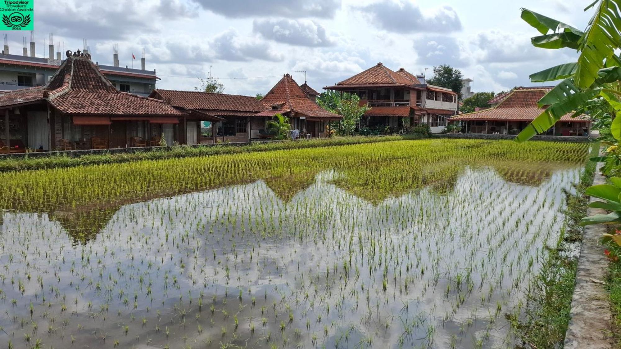 Alamanda Family Villas, Pool & Local Tours Jogyakarta Zewnętrze zdjęcie