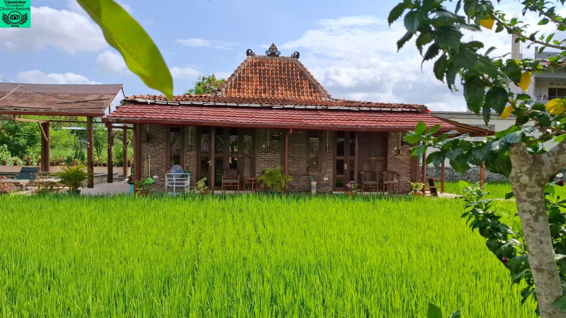 Alamanda Family Villas, Pool & Local Tours Jogyakarta Zewnętrze zdjęcie