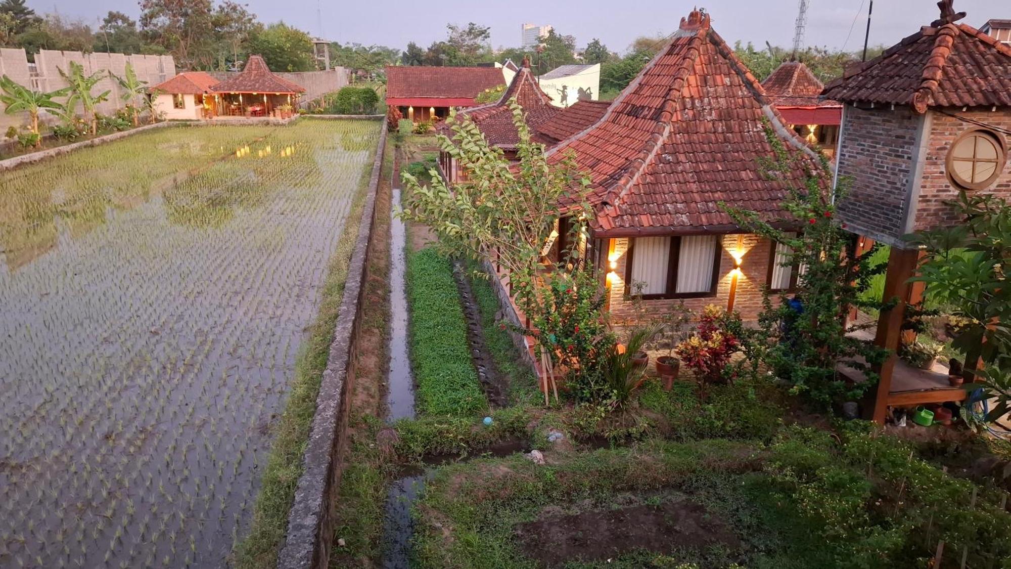 Alamanda Family Villas, Pool & Local Tours Jogyakarta Zewnętrze zdjęcie