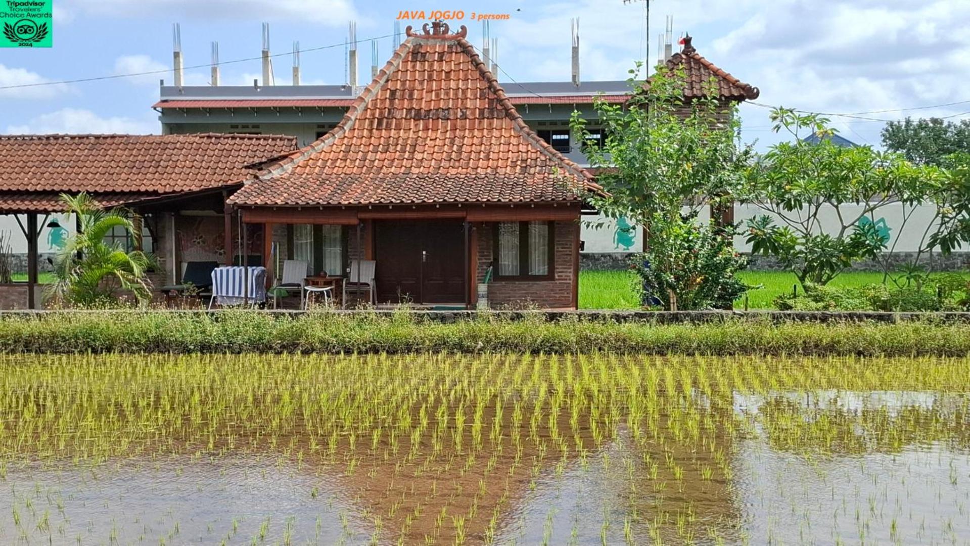 Alamanda Family Villas, Pool & Local Tours Jogyakarta Zewnętrze zdjęcie