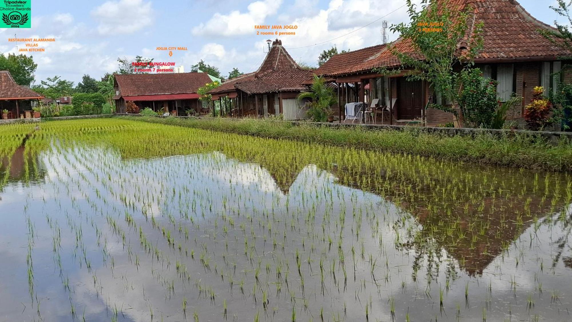 Alamanda Family Villas, Pool & Local Tours Jogyakarta Zewnętrze zdjęcie