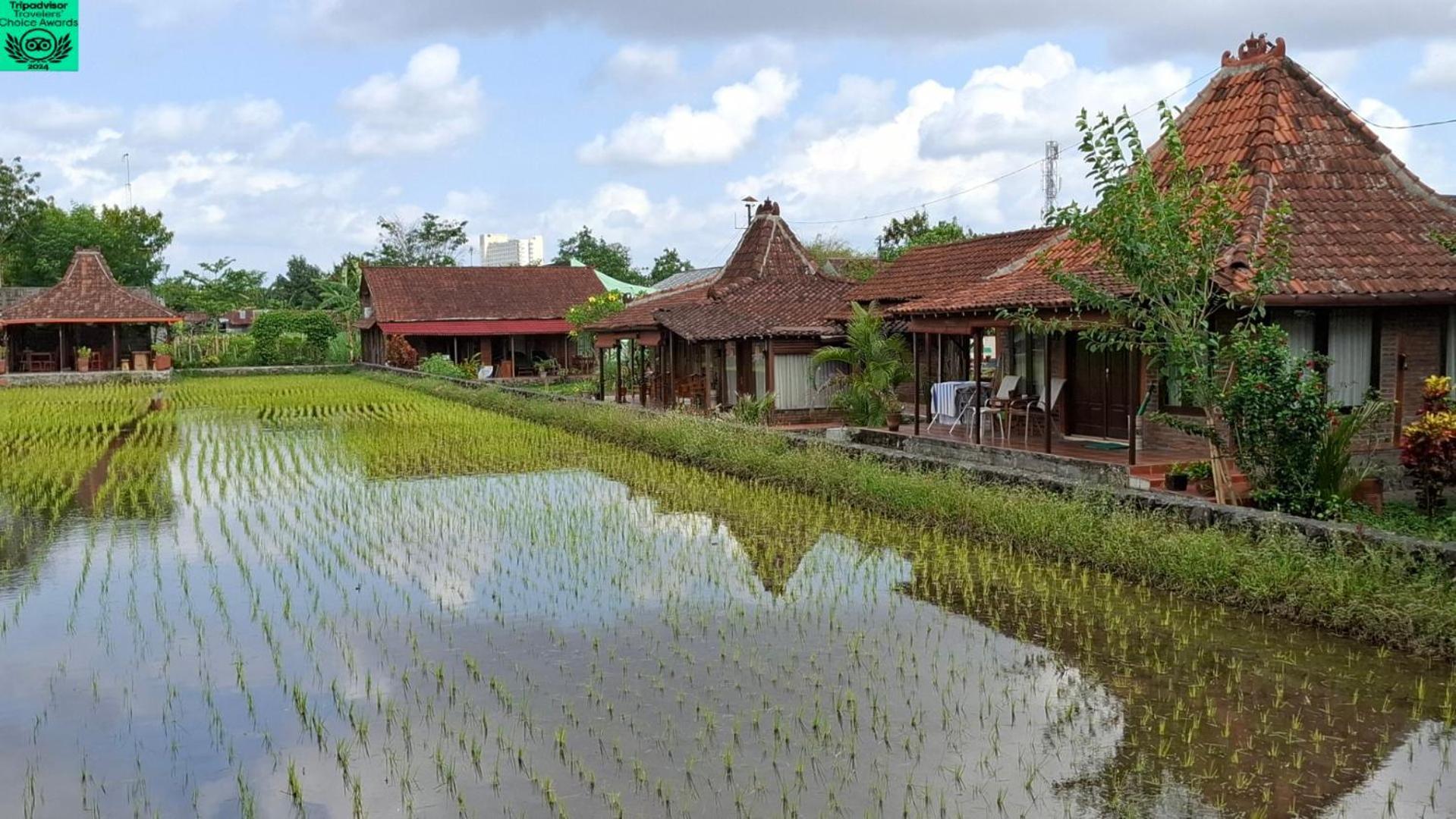 Alamanda Family Villas, Pool & Local Tours Jogyakarta Zewnętrze zdjęcie