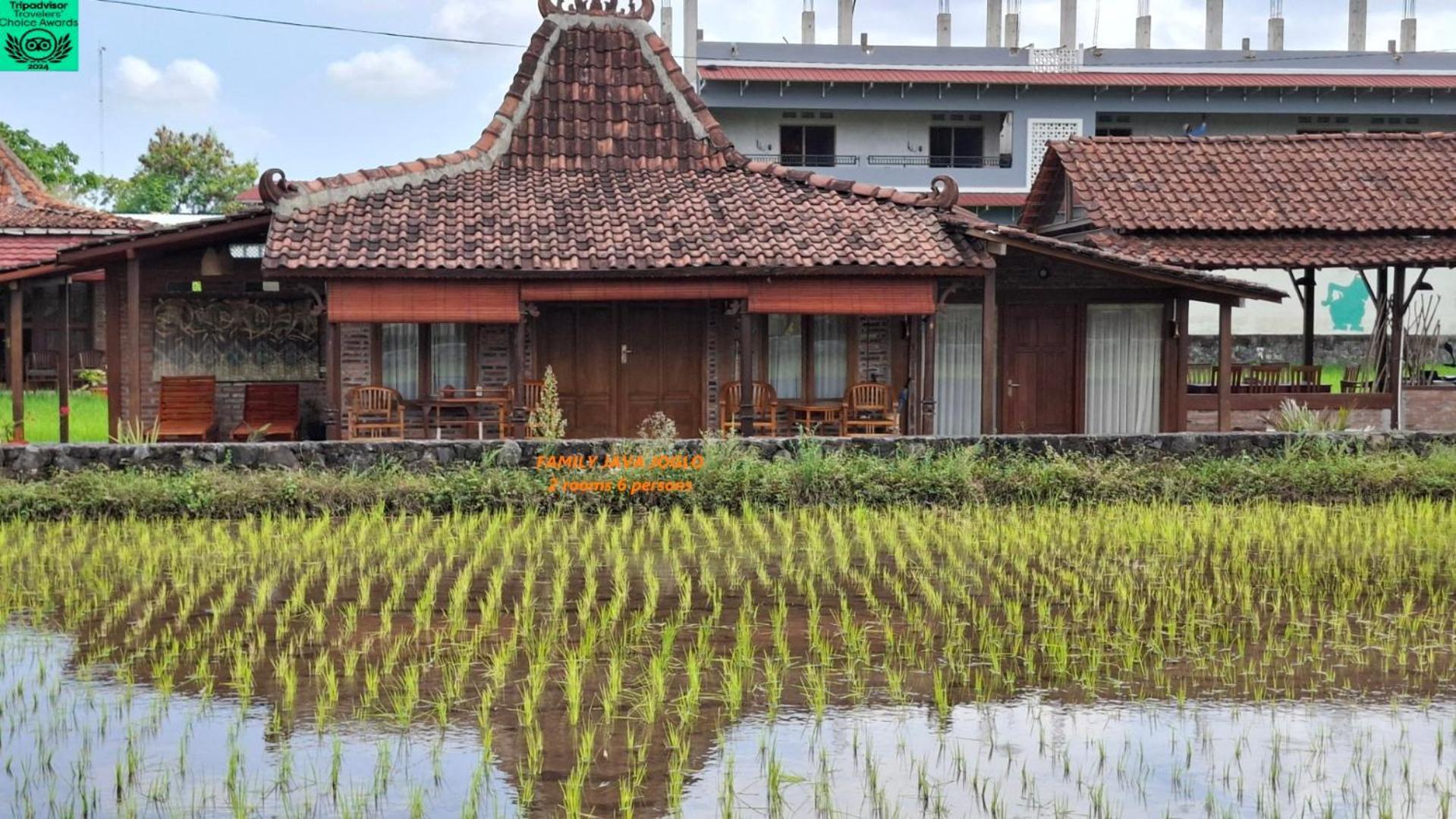Alamanda Family Villas, Pool & Local Tours Jogyakarta Zewnętrze zdjęcie